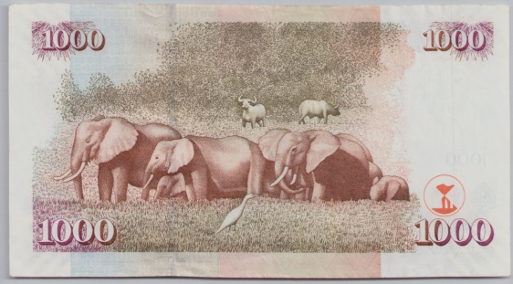 [Resmi Tam Görüntüle]