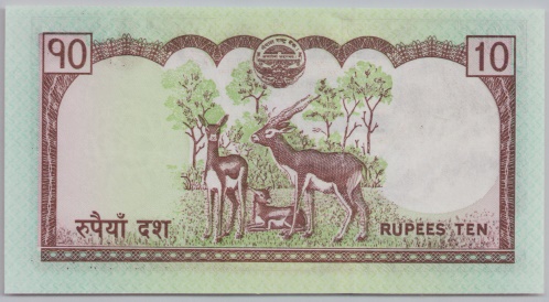 [Resmi Tam Görüntüle]