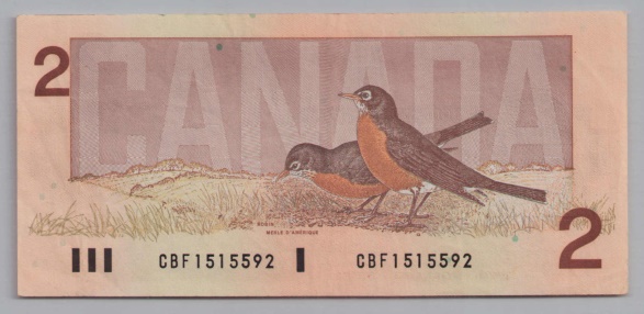 [Resmi Tam Görüntüle]