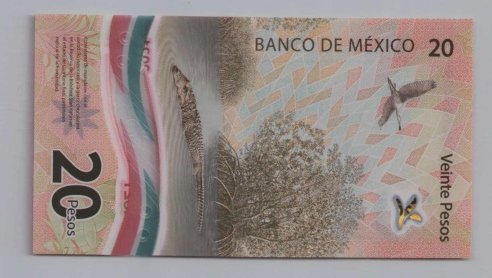 [Resmi Tam Görüntüle]