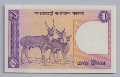 [Resmi Tam Görüntüle]