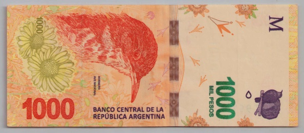 [Resmi Tam Görüntüle]