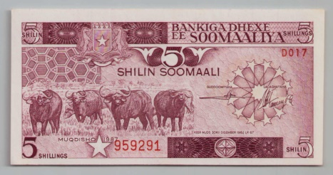 [Resmi Tam Görüntüle]